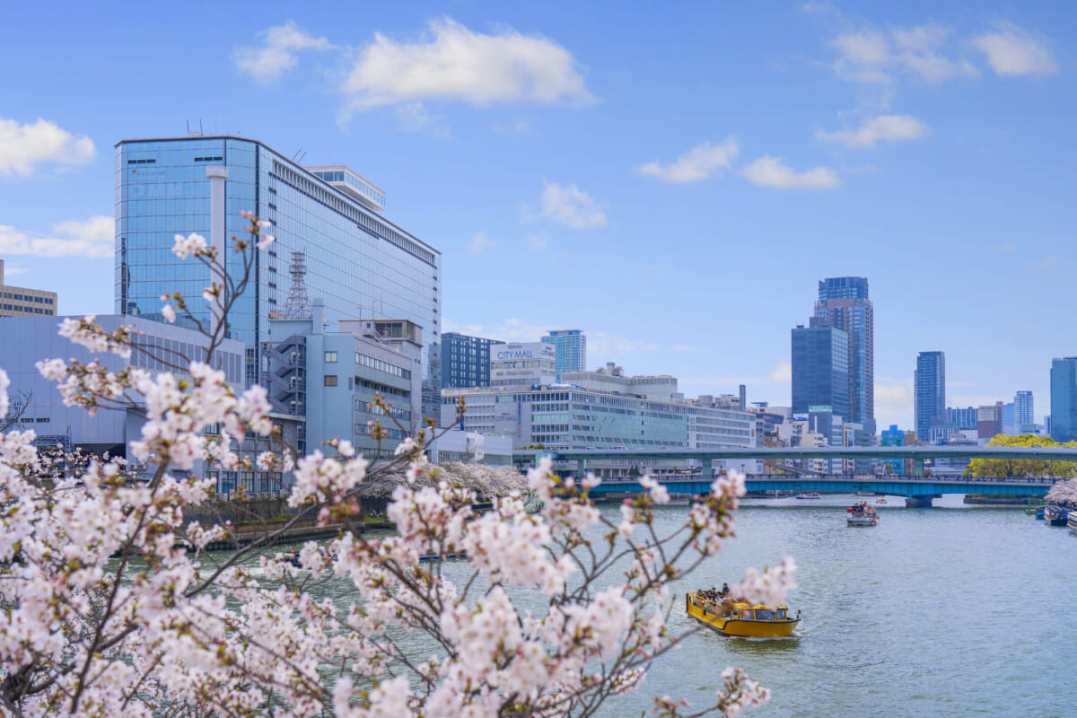 毛馬桜之宮公園
